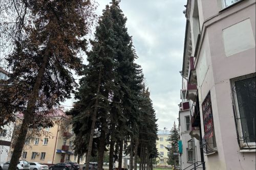 4 ноябрьгә һава торышы