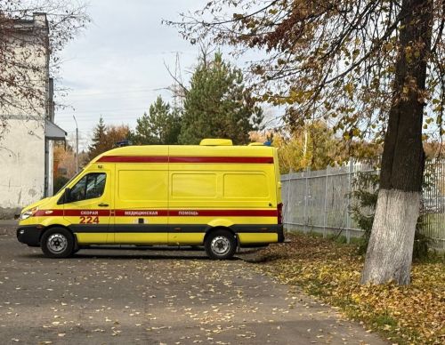 Васильевода этләр тешләгән кыз авыр хәлдә кала бирә