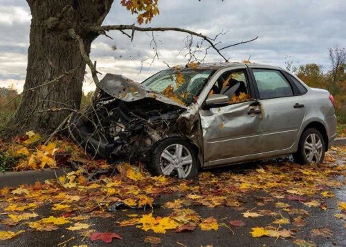 «Лада Гранта» автомобиле агачка бәрелгән