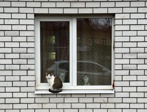 3 декабрьгә һава торышы