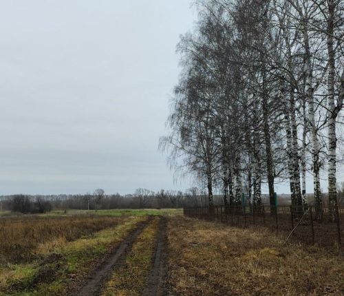 8 декабрьгә һава торышы
