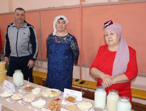 Яшел Үзәннең Бишнә җирлеге халкы табибка күренү өчен өч транспорт белән барырга мәҗбүр