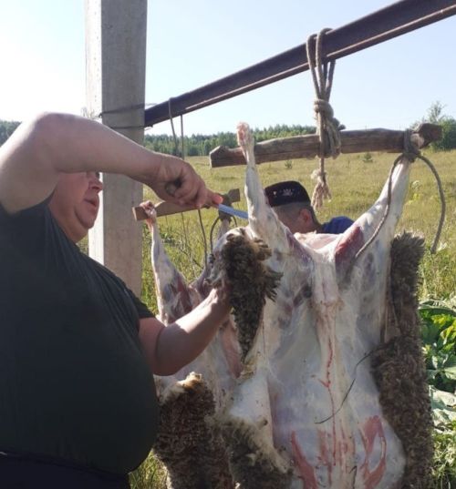 Бала тууга ук гакыйка корбанын чалырга мөмкинлек булмаса, аны ничә яшенә кадәр чалырга була?