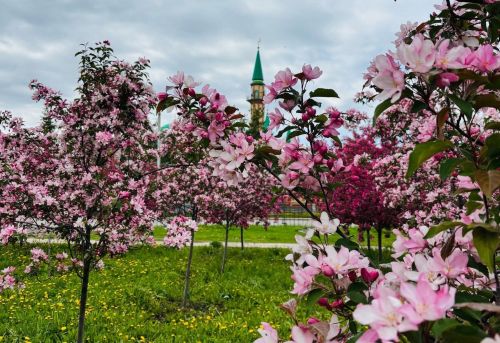 6 июньдә Яшел Үзәндә узачак Корбан гаете бәйрәме тәртибен тәкъдим итәбез