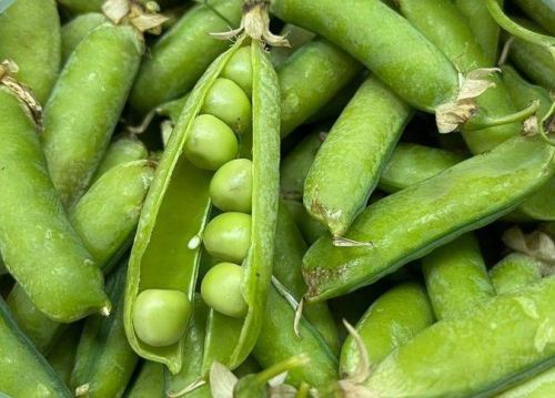 Борчак маринадлау ысулы