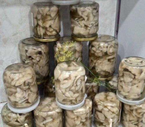 Гөмбәле ассорти