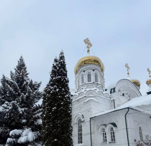 Раифа кунаклар кабул итте