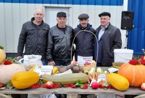Авыл хуҗалыгы ярминкәләре 14 мартта эшли башлаячак