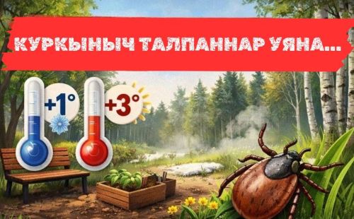 Татарстанда 2026 елгы талпан сезоны: куркыныч һәм саклану чаралары