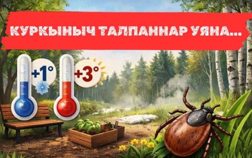 Татарстанда 2026 елгы талпан сезоны: куркыныч һәм саклану чаралары