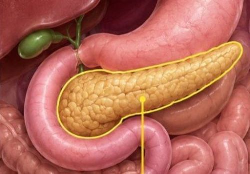 Ашказаны асты бизе: ничек сакларга? Табиблар тәкъдим иткән ысуллар
