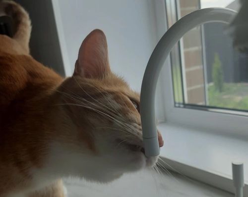 2026 елга Яшел Үзәндә җәйге чорда котельныйларны туктату графигы