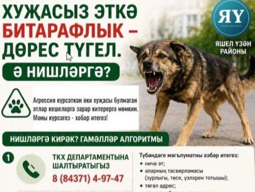 Хуҗасыз эткә битарафлык – дөрес түгел. Ә нишләргә?