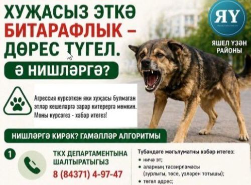 Хуҗасыз эткә битарафлык – дөрес түгел. Ә нишләргә?