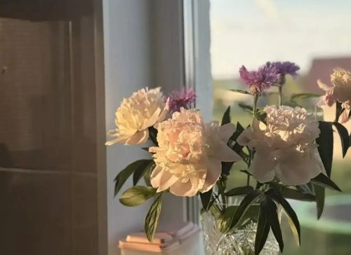24 июньгә һава торышы
