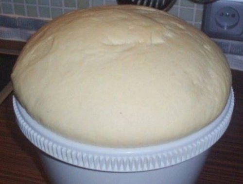 Тиз өлгерә торган камыр