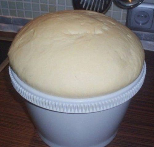 Тиз өлгерә торган камыр