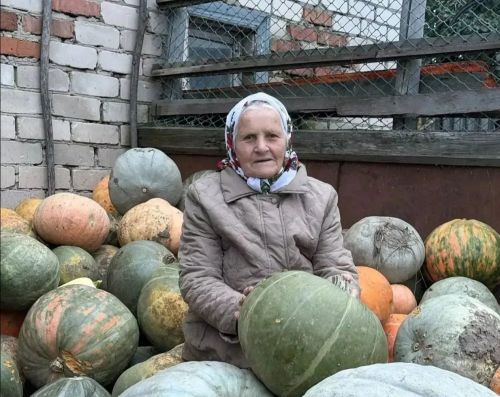 Каратмән авылыннан Хадия Гатауллина үстергән мул уңышны күрегез әле!