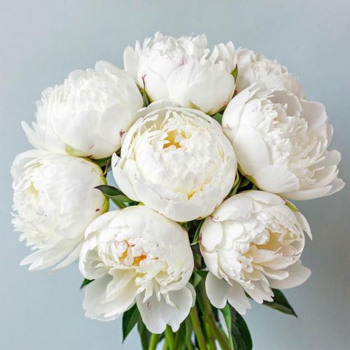 Мамадыш-Әкил авылында яшәүче Гөлмирә Кәлимуллинаның 55 яшьлек юбилее