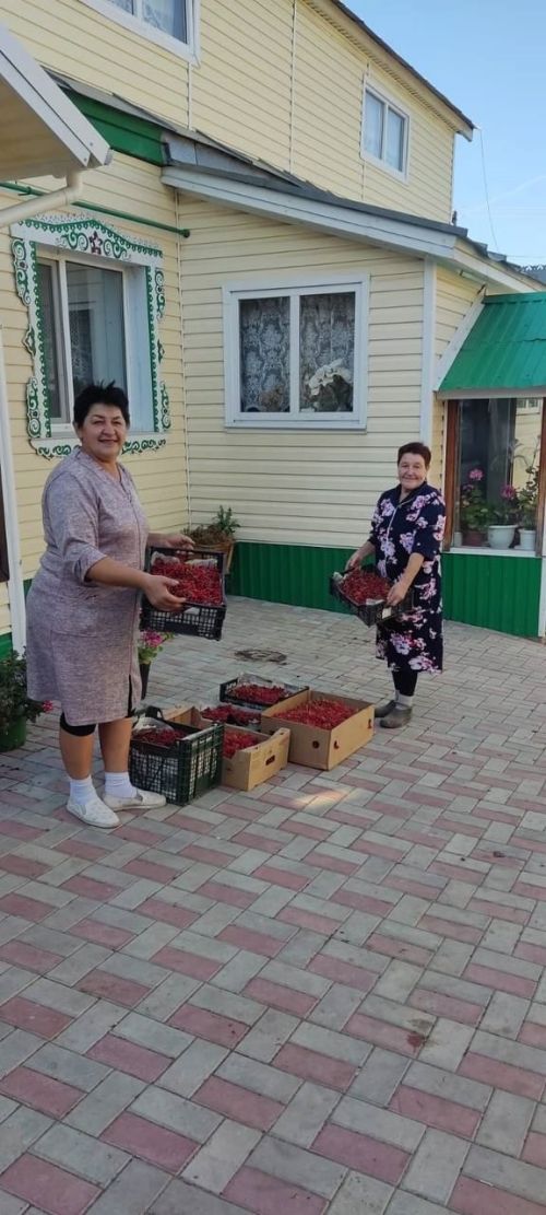 Көзнең шифалы байлыгы – балан