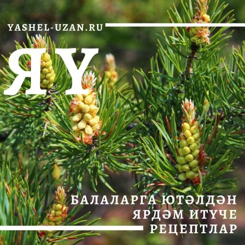 Балаларга ютәлдән ярдәм итүче рецептлар тәкъдим итәбез
