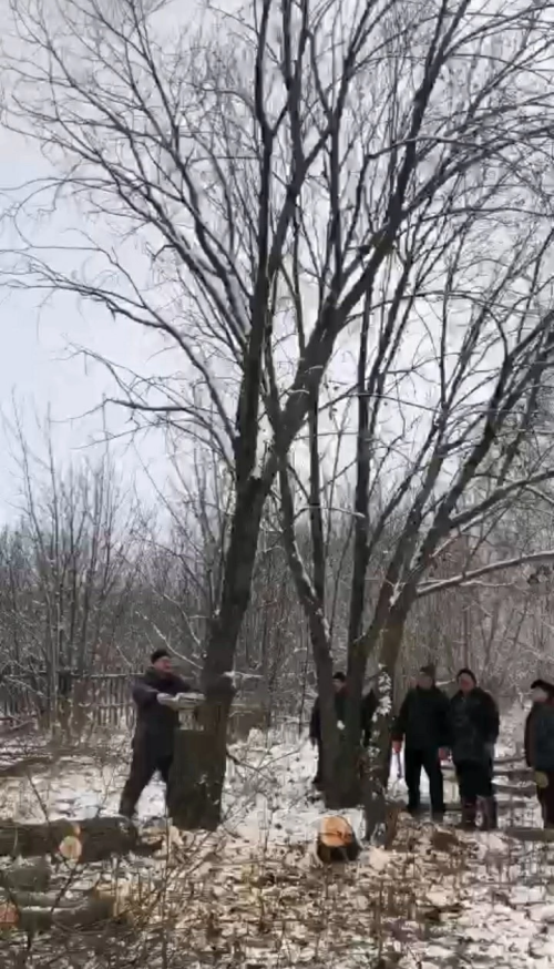 Кече Шырданда Хәтер паркын җәелдерәчәкләр