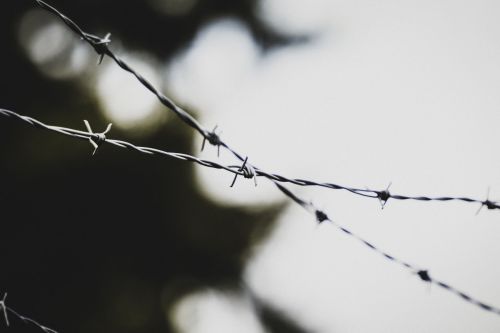 Россиядә яңа төрмәләр барлыкка киләчәк