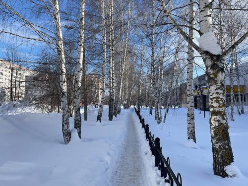 Татарстанда төнге салкыннардан соң -1 градуска кадәр җылыну көтелә