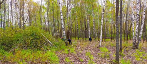 Бүген зиратларыбызда өмәләр оештырылды, бик зур эшләр башкарылды