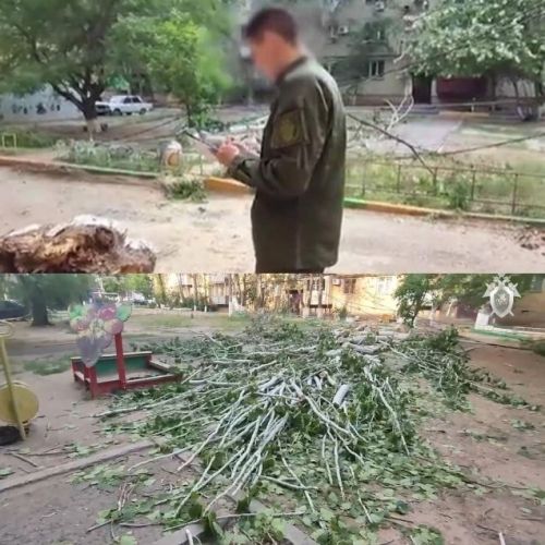 Җиде яшьлек кыз өстенә агач төшеп үтергән