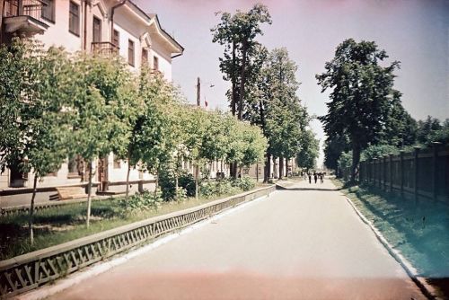 1950 - 1960 елларда Яшел Үзән