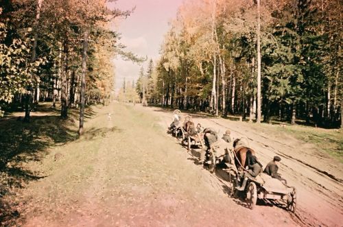 1950 - 1960 елларда Яшел Үзән