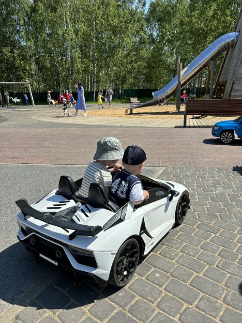 «Каенлык» паркында Яшьләр көнен үткәрәчәкләр