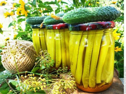 Куркумалы кыярлар: мондый кыяр тәме белән аерылып тора!
