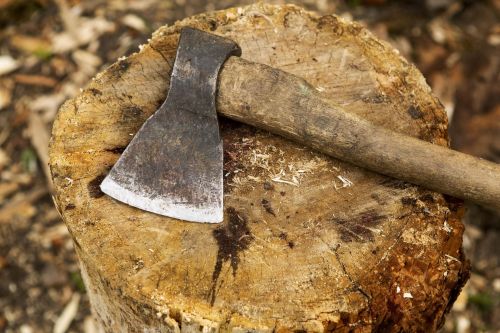 17 яшьлек яшүсмер сеңлесен балта белән чабып үтергән