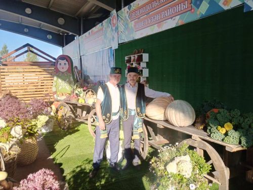 Яшел Үзән районы үз уңышларын республика ярминкәсендә тәкъдим итә