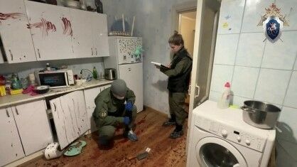 Бер ир-ат вәхшиләрчә хатынын һәм нәни кызын үтергән