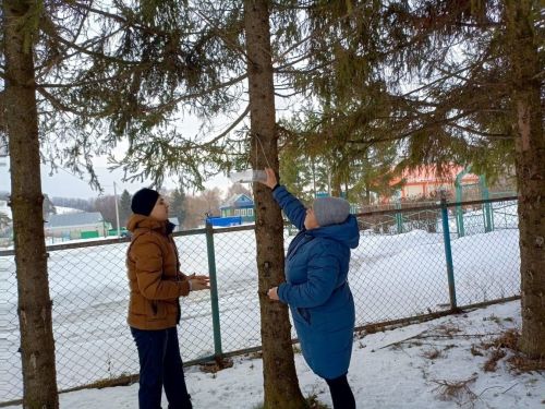 Карашәм авылы мәдәният йортында балалар канатлы нәни дусларыбызга җимлекләр ясаган