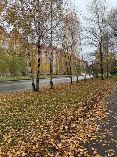 22 октябрьгә һава торышы