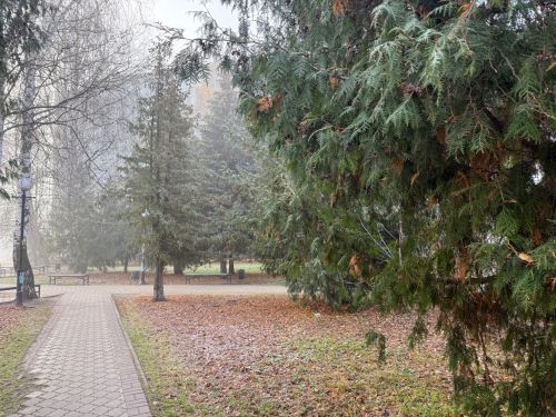 13 ноябрьгә һава торышы