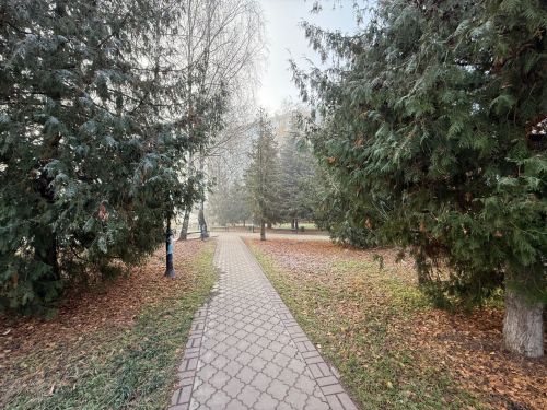 19 ноябрьгә һава торышы