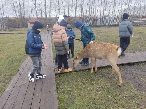 «Татар авылы» күргәзмә комплексына сәяхәт