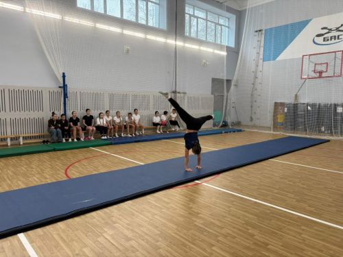 Физик культура буенча Бөтенроссия олимпиадасының муниципаль этабы тәмамланды