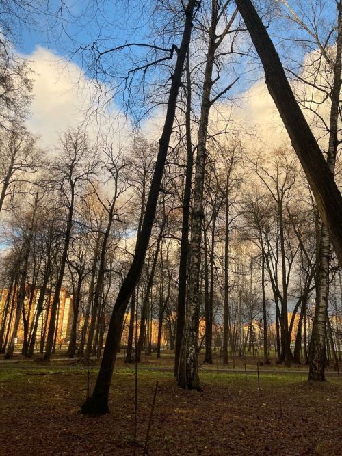 1 декабрьгә һава торышы