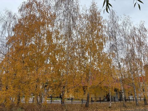 Татарстанда яшәүчеләрне көчле җил турында кисәттеләр