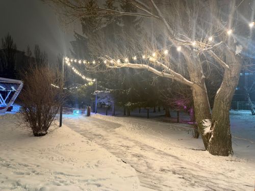 14 декабрьгә һава торышы