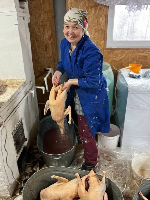 Авылларда каз өмәләре гөрли