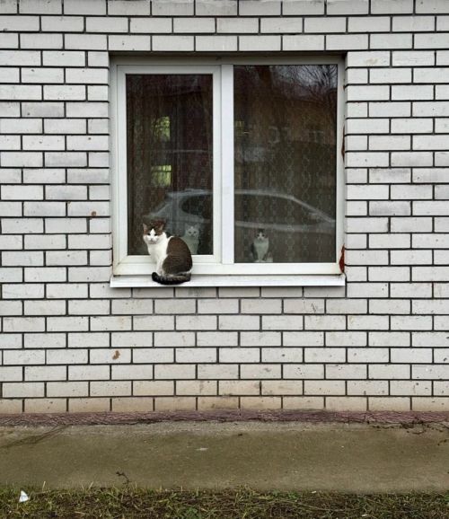 3 декабрьгә һава торышы