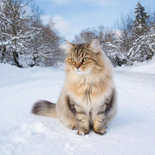 29 декабрьгә һава торышы