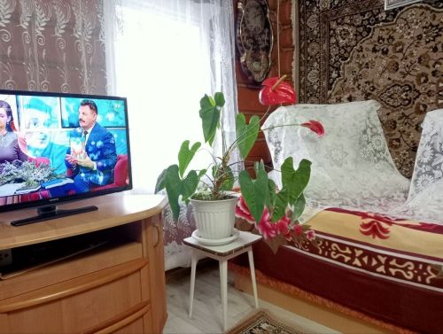 Нигез тынычлыгын ничек сакларга? Ислам динендә моның берәр шарты бармы?